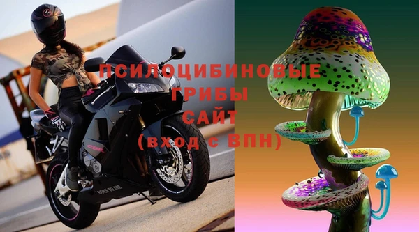 ALPHA PVP Алексин