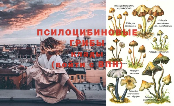 PSILOCYBIN Алексеевка