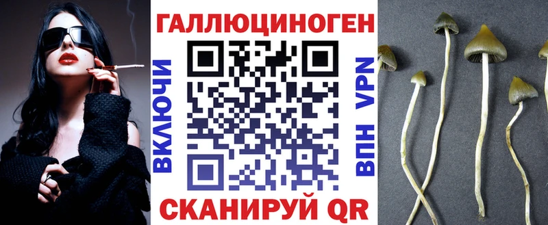 Галлюциногенные грибы Psilocybine cubensis  Благовещенск 