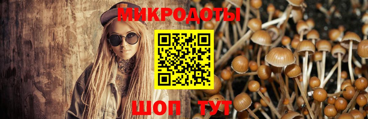 Псилоцибиновые грибы Magic Shrooms Благовещенск